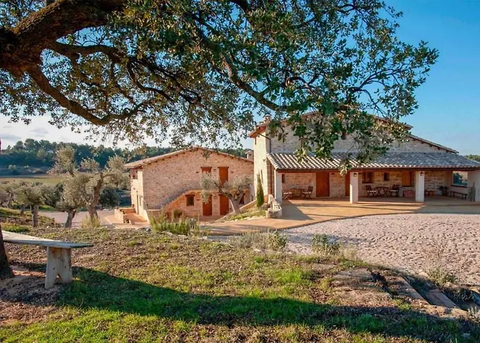 Casa rural restaurante Mas Del Rei