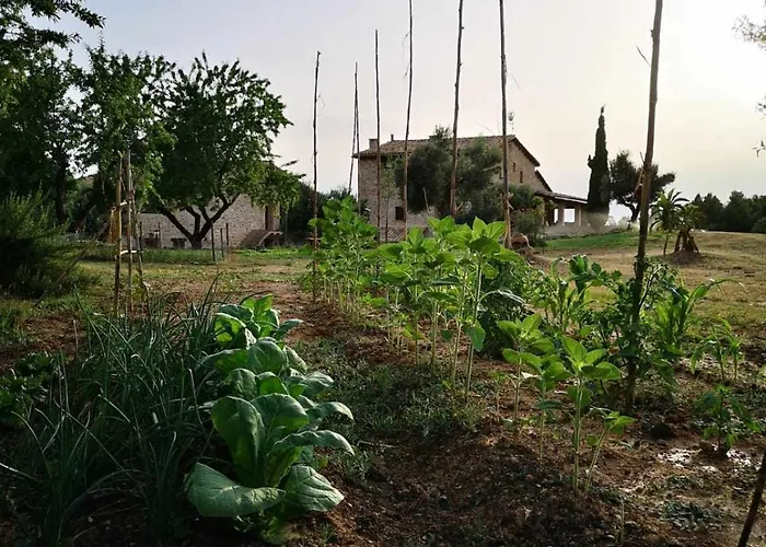 Casa rural restaurante Mas Del Rei